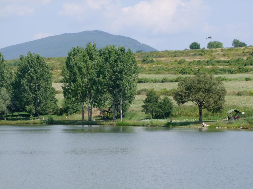 Rajna Vendeghaz Villa Bogacs Exterior photo