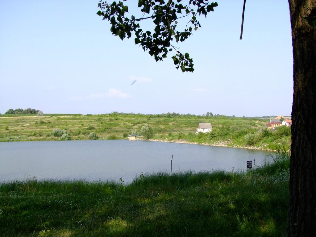 Rajna Vendeghaz Villa Bogacs Exterior photo